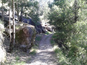 2013-06-02 08.52.481572537764