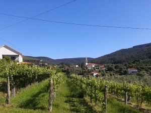 2013-06-02 09.32.10-1098469870